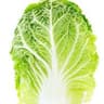Cabbage: Chinese