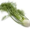 Fennel
