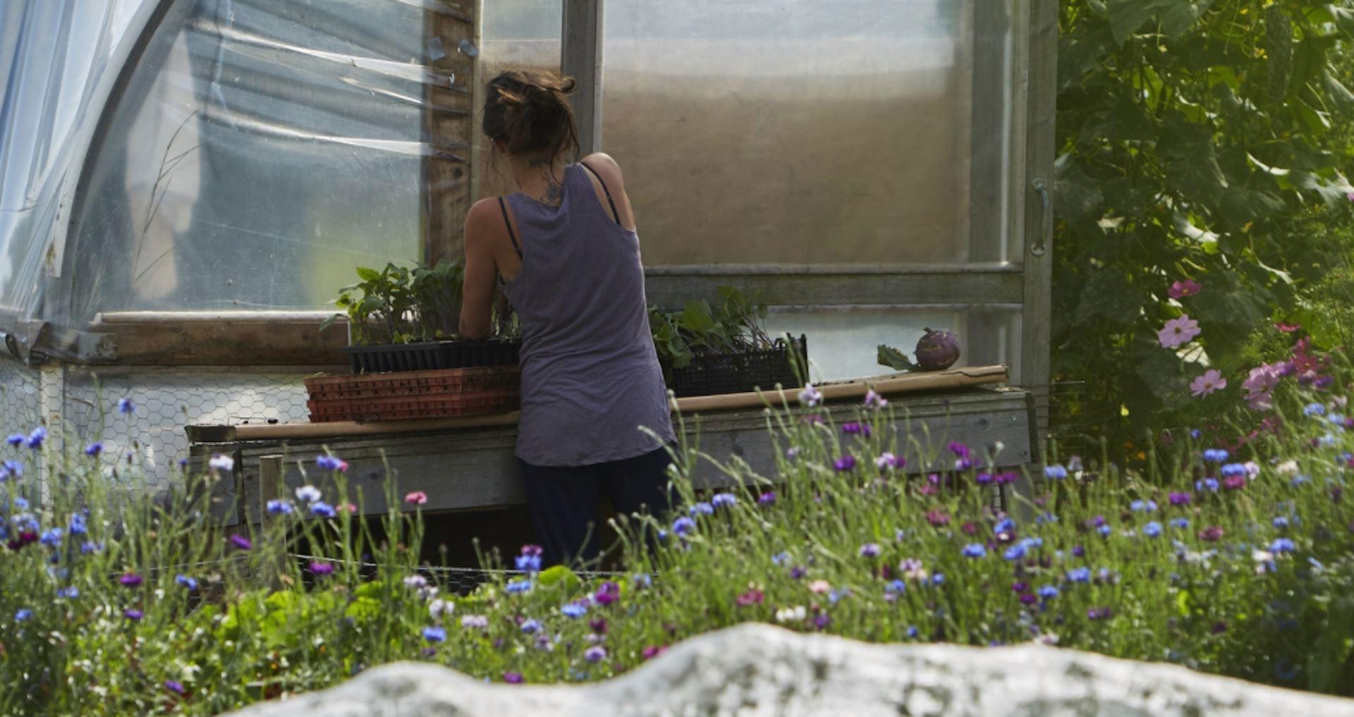 MOSS VALLEY MARKET GARDEN